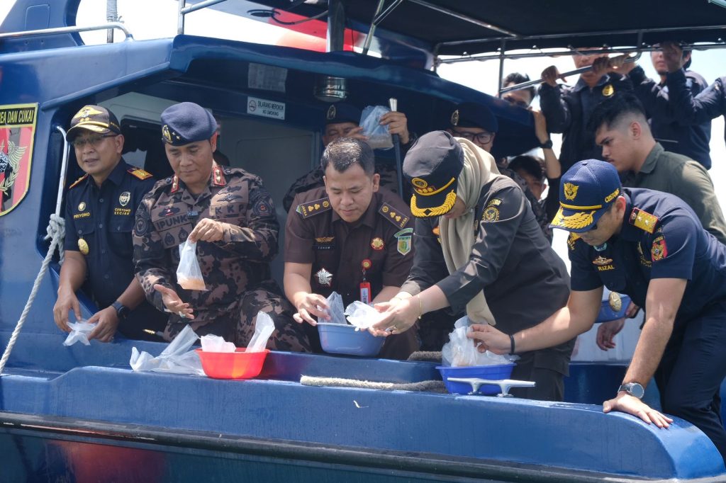 Bea Cukai Batam Gagalkan Penyelundupan Benih Lobster dengan Potensi Kerugian Negara 90 Miliar Rupiah