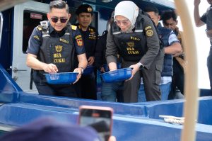 Bea Cukai Batam Lagi-lagi Gagalkan Penyelundupan Benih Lobster: Ekosistem  Laut dan 26,9 Miliar Kerugian Negara Terselamatkan